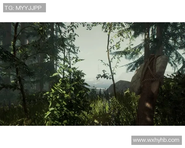 刚入坑足球星卡如何购买 新手必看指南与注意事项